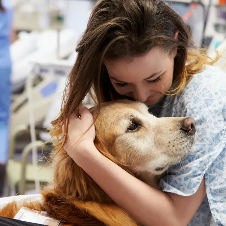 rs=w_730,h_730,cg_true A woman hugging a dog in the hospital